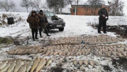 Под Житковичами мужчины растянули полукилометровую сеть. Попался отборный карась