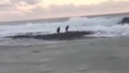 В Сочи двух подростков унесло в море – видео