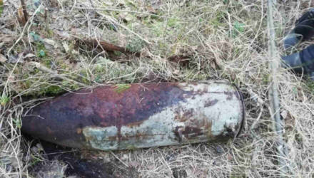 На Гомельщине найдена и обезврежена штурмовая авиационная бомба