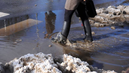 Снегодождь и февральский шторм. Погода в Гомеле на неделе