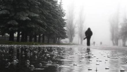 Как отрабатывают долг государству обязанные лица, биологические родители детей из неблагополучных семей Гомельского района