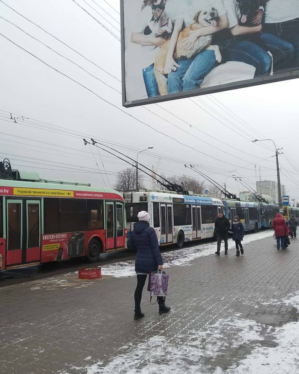 Купить Металл В Гомеле На Тролейбусной