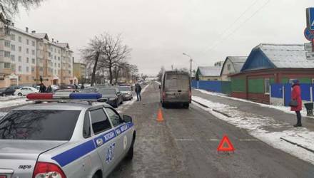В Жлобине "Газель" сбила на пешеходном переходе маму с дочкой