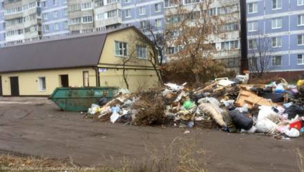 Карту систематических несанкционированных свалок создают на Гомельщине