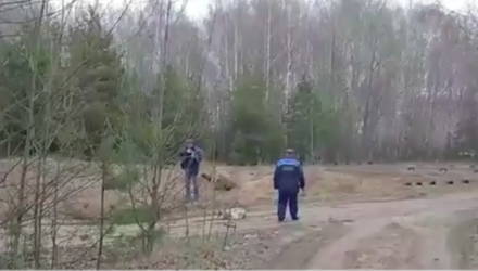 «Ну давайте, стреляйте в меня! Повезете меня вместе с собакой!» В Мозырском районе собаку застрелили на глазах у ребёнка