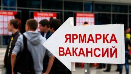 Испытано на себе: легко ли найти работу в Гомельском районе