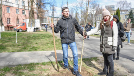 Студенческая аллея появилась в районе общежития БелГУТа