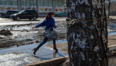 Неустойчивая погода в Гомеле сохранится и на следующей неделе