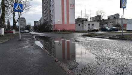 Уберите аварийные тополя и постройте дорогу в Шведскую Горку. О чём просят жители Любенского микрорайона