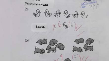 Первоклассница неправильно решила задачу по математике, но в Сети с её ответом согласны все