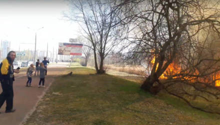 Гомель в огне – 2. Возле Ледового дворца полыхает трава