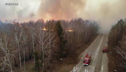 Подняли авиацию: в Чернобыльской зоне уже неделю тушат лесной пожар