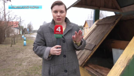Можно ли пить воду из колодцев, криниц и крана в Гомеле и области? Проверено на себе