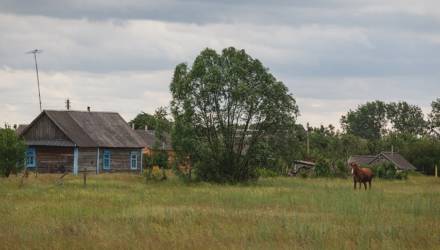 Сын с невесткой из Гомельской области приехали проведать бабушку и заразили её