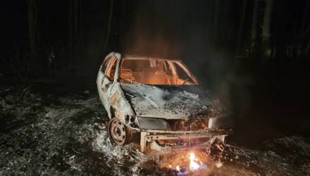 Гомельщина в огне: горят автомобили, дома, леса и трава