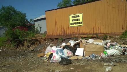 За первый квартал этого года госсаннадзор Гомельской области выявил около 4 тысяч нарушений санитарного содержания территорий