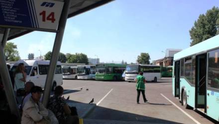 Будет ли останавливаться автобус «Гомель–Смычок» на остановке "Химзавод"?