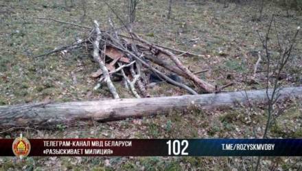 В Калинковичском районе обнаружен труп мужчины, пропавшего в начале месяца