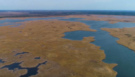 Сколько денег «затоплено» в Светлогорском водохранилище и для чего оно было построено?