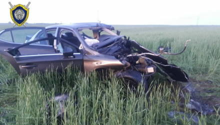 «Развозили помощь медикам». Молодые документалисты погибли в аварии, возвращаясь со съёмок в Гомеле
