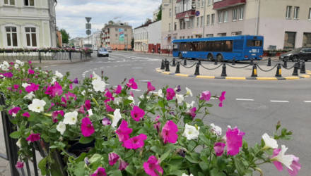 Фотофакт: улица Кирова в Гомеле расцвела