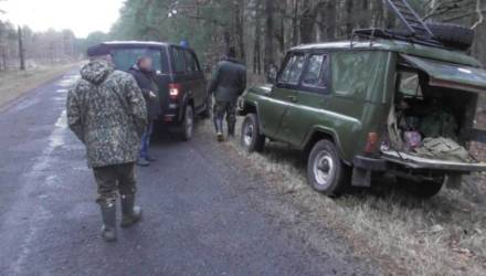 В Светлогорске вынесли приговор охотникам, застрелившим и разделавшим лося – подробности