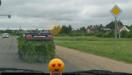 Если нет прицепа – загрузи траву в BMW