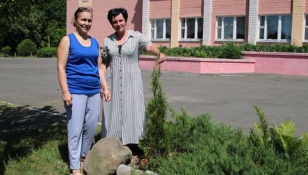 В деревне Грабовка злоумышленники похитили туи