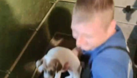 На Гомельщине щенок попал в беду: спасатели оказали помощь хозяину по извлечению четвероногого друга из металлической трубы (видео)