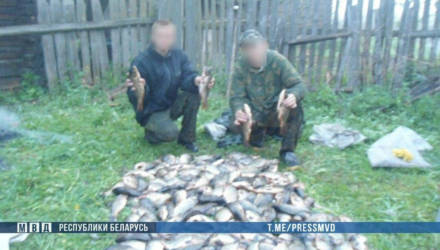 «Жгли охотничьи вышки и угрожали расправой»: В Житковичском районе поймали браконьеров-беспредельщиков