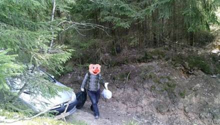 С начала года фотоловушки «поймали» в белорусских лесах более 280 нарушителей