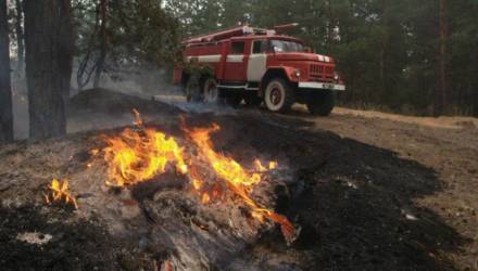 Жара. На Гомельщине снова начинают вводить запрет на посещение лесов