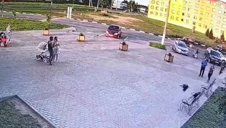 В Костюковичах ворона похитила 150 рублей из рюкзака 18-летнего парня. Ранее он их украл у женщины
