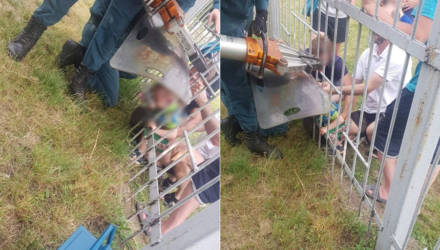 В Гомеле 3-летний малыш застрял в заборе стадиона: его извлекли спасатели