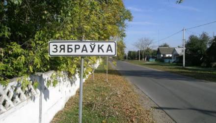 В деревне под Гомелем никто не боится коронавируса