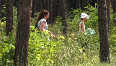 В Светлогорском районе каждый четвёртый клещ заразен