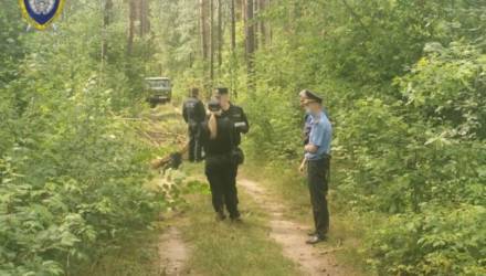 Спиленное лесником дерево насмерть придавило 15-летнюю девочку под Пуховичами