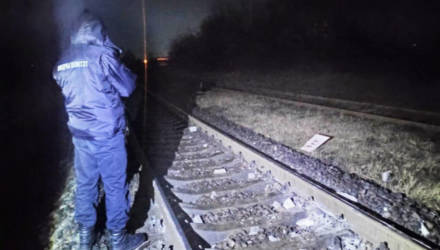 Гомельский пассажирский поезд столкнулся с бетонным столбом
