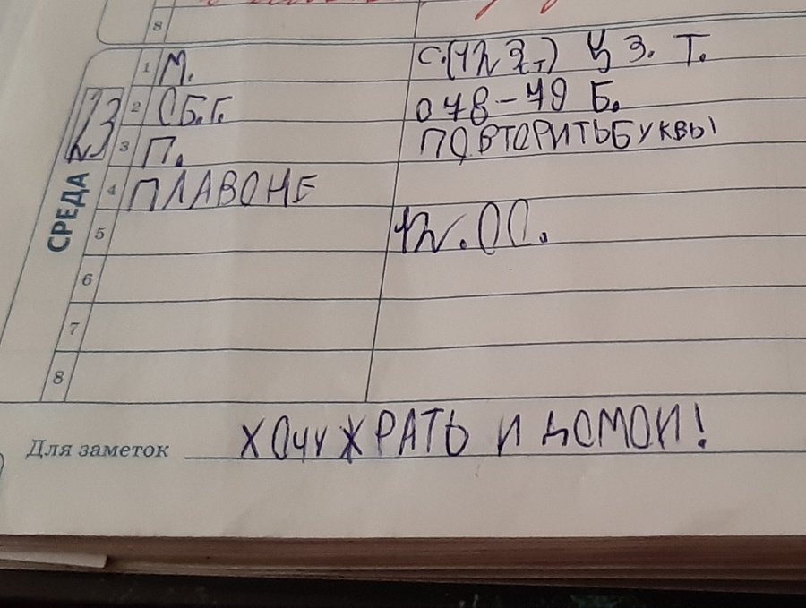 Школьник насмешил Twitter своим дневником, где графа "Для заметок" стала его исповедью