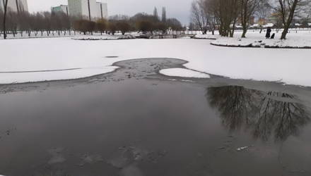 В Гомеле молодой человек вытащил из ледяной воды лабрадора