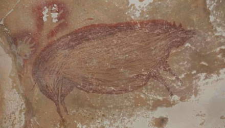 В Индонезии нашли старейший наскальный рисунок в мире. Этому изображению свиньи около 45,5 тысяч лет