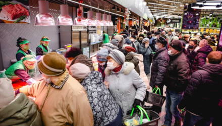 В Гомеле появятся куриные грудки и окорочка по крайне низким ценам