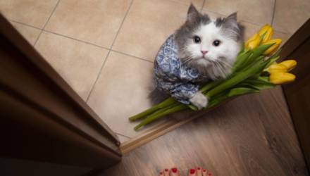 Какие подарки и приобретения приготовили звёзды каждому знаку Зодиака в 2021 году