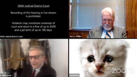 Адвокат из Техаса не смог выключить фильтр в Zoom и был вынужден провести всё заседание "котом"