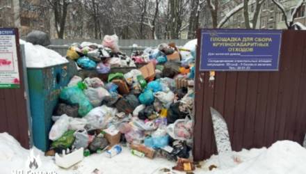 Гомельчане столкнулись с проблемой: мусор не вывозят по нескольку дней