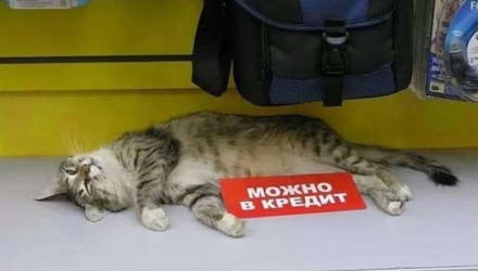 Беларусбанк возобновил выдачу кредитов на потребительские нужды