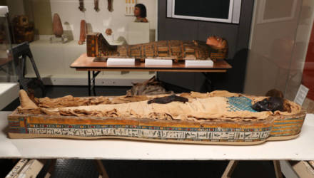33 зуба, лишний позвонок и топор в спине: тайна египетской мумии раскрыта спустя почти два века