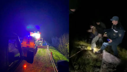 В лесу под Гомелем потерялась семья с двумя детьми