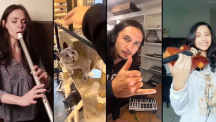 Alugalug cat: музыканты со всего мира объединились и превратили мемное мяуканье кота в полноценную симфонию