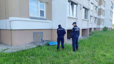 В Гомельском районе мальчик выпал с 9-го этажа и разбился насмерть
